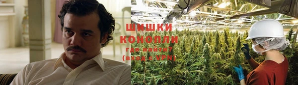 метадон Белокуриха