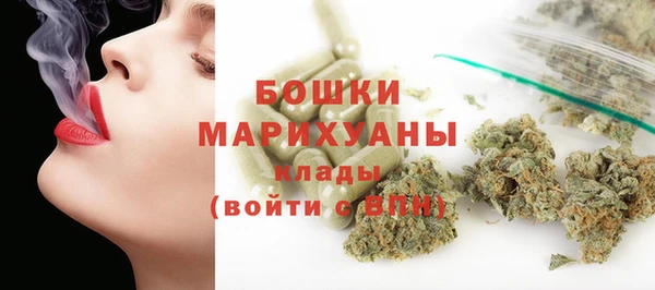 ГАЛЛЮЦИНОГЕННЫЕ ГРИБЫ Богданович