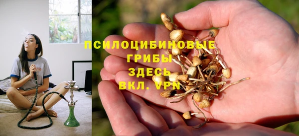 метадон Белокуриха